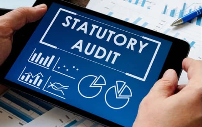 What is a Statutory Audit