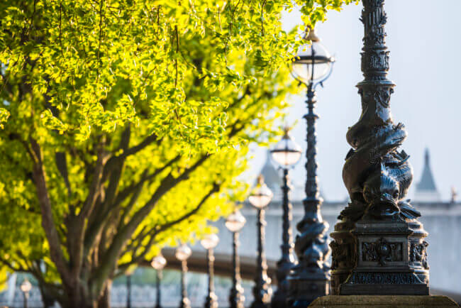 Dolphin map post in Southbank, London with trees