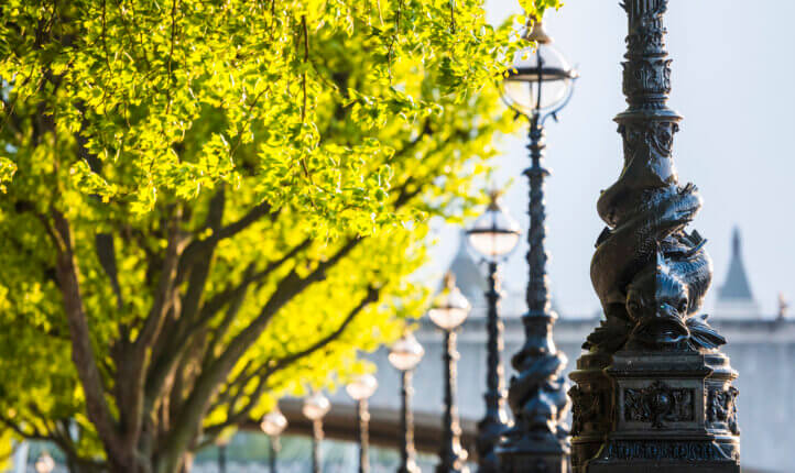Dolphin map post in Southbank, London with trees