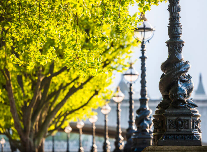 Dolphin map post in Southbank, London with trees